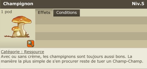 champignon